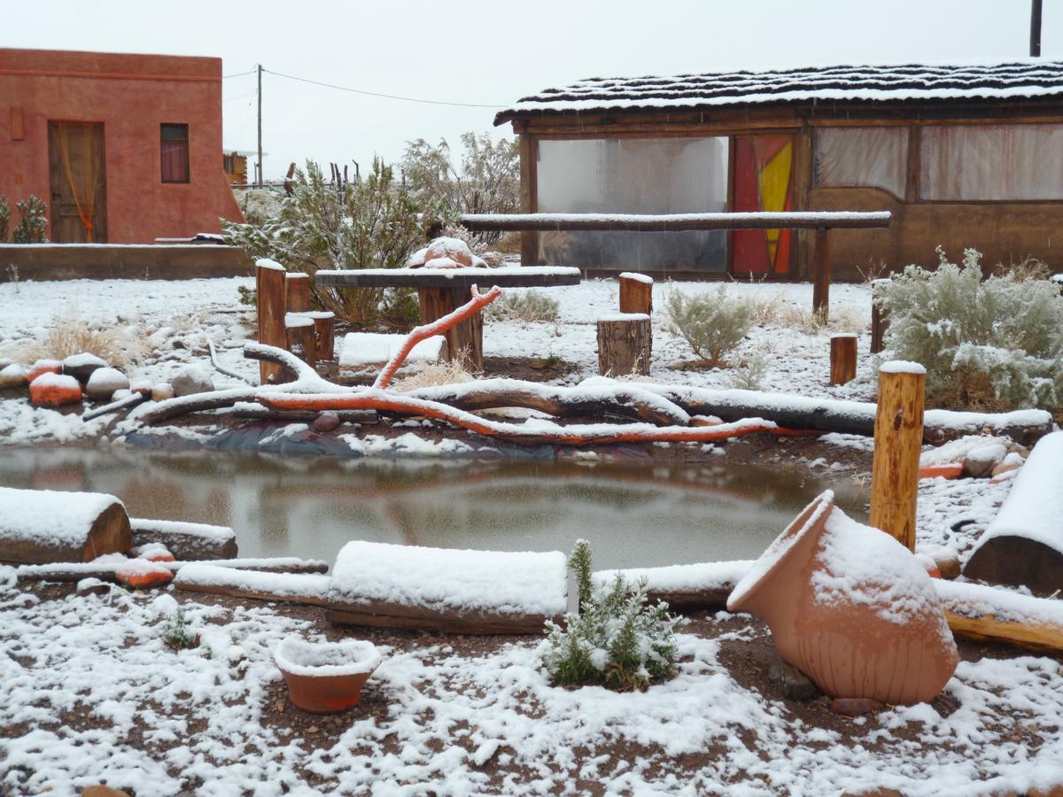 Mamuna Posada Un Lugar Para Disfrutar De A Dos Uspallata Luaran gambar